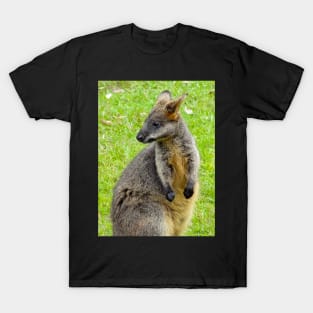 Swamp Wallaby T-Shirt